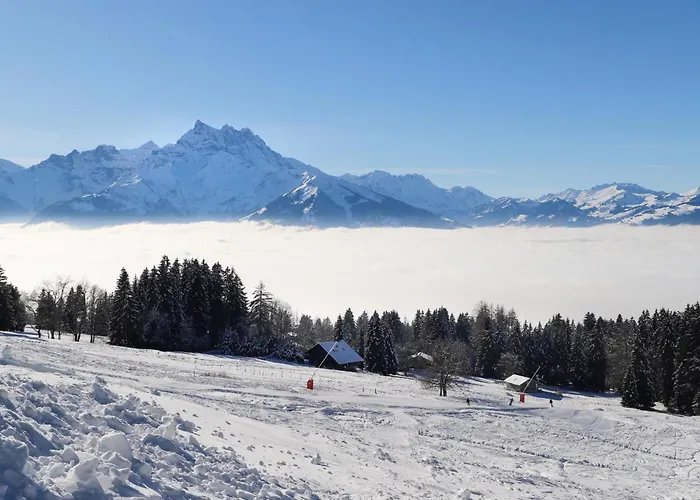 Dipankar By Interhome Domek alpejski Villars-sur-Ollon