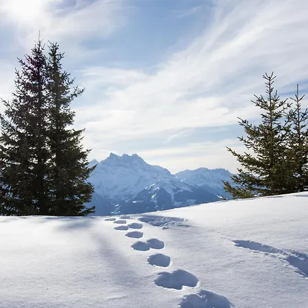 Dipankar By Interhome וילארס-סור-אולון