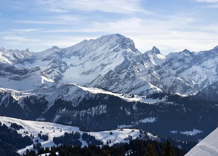 Dipankar By Interhome בקתה